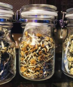 Organic Psilocybin Mushrooms for Microdosing