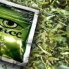 Synthetic Cannabinoids