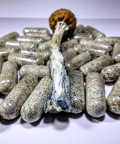 Buy Psilocybin Capsules Online