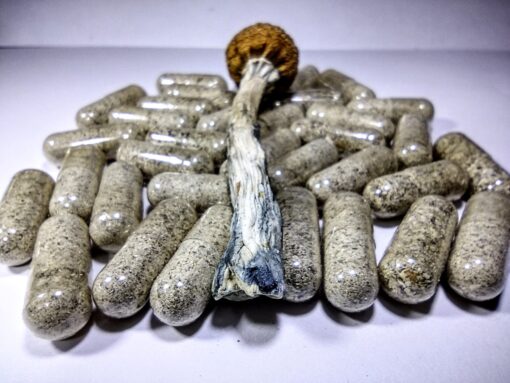 Buy Psilocybin Capsules Online