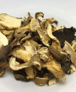 Buy Cubensis Mushrooms Online