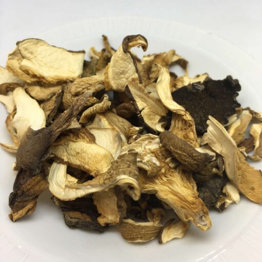 Buy Cubensis Mushrooms Online