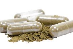 Psilocybin Supplements Online