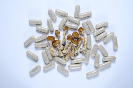 Psilocybin Supplements Online